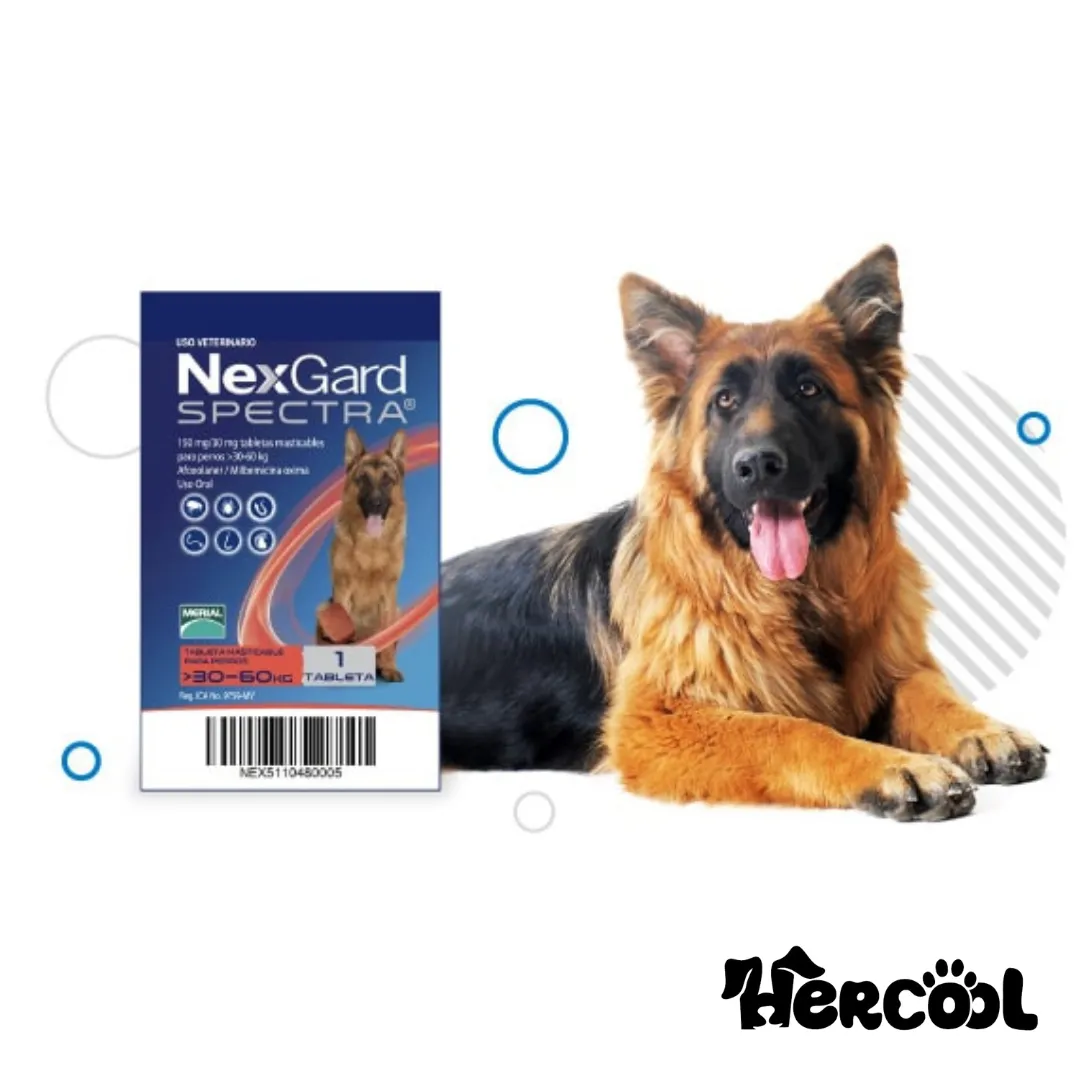 NexGard Spectra (2)
