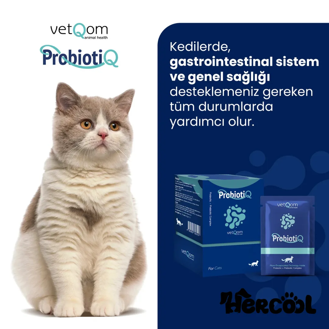 _ProbiotiQ VetQam (1)