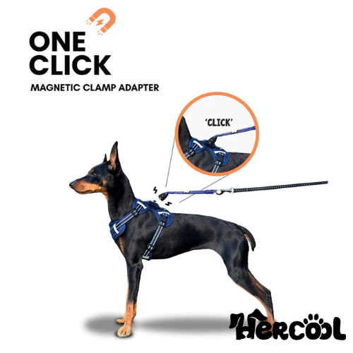 OurDogsLife Easy Lock Magnetic Dog Harness & Leash Set (4)