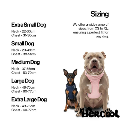 OurDogsLife Easy Lock Magnetic Dog Harness & Leash Set (5)