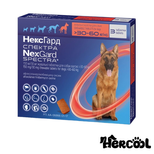 nexgard spectra 30 - 60 KG