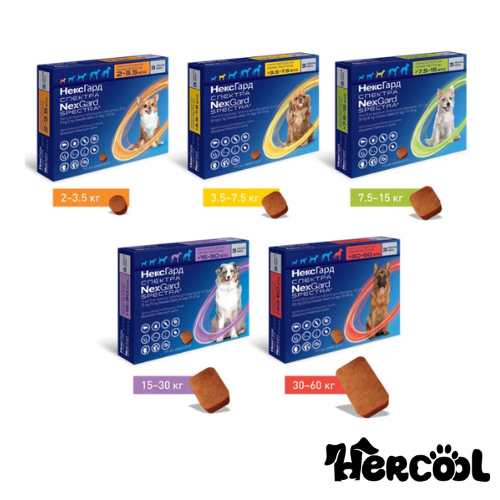 nexgard spectra