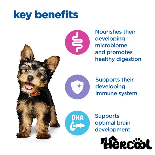 Multi-Benefit Medium Puppy (2)